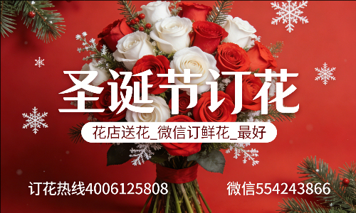 崇左花店送花_微信订鲜花_圣诞节订花_最好? 崇左花店