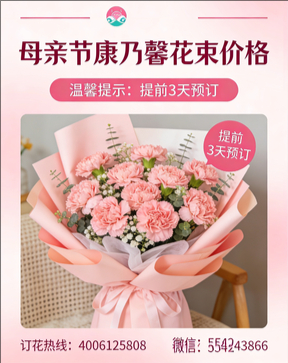 崇左花店母亲节康乃馨花束