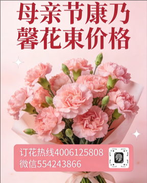 崇左花店母亲节康乃馨花束